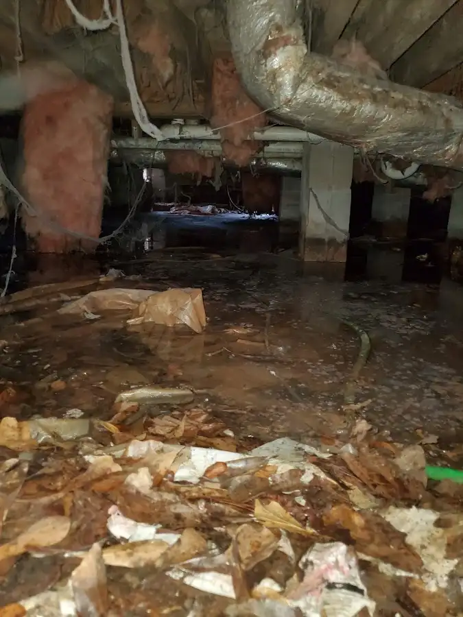 Crawl space flood assessment for Leak Detection & Repair in Dale City